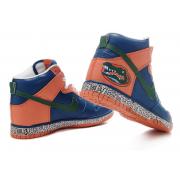 Nike Dunk SB Homme Soldes